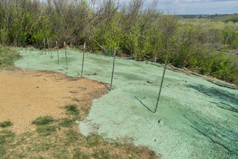 Hydroseeding Application