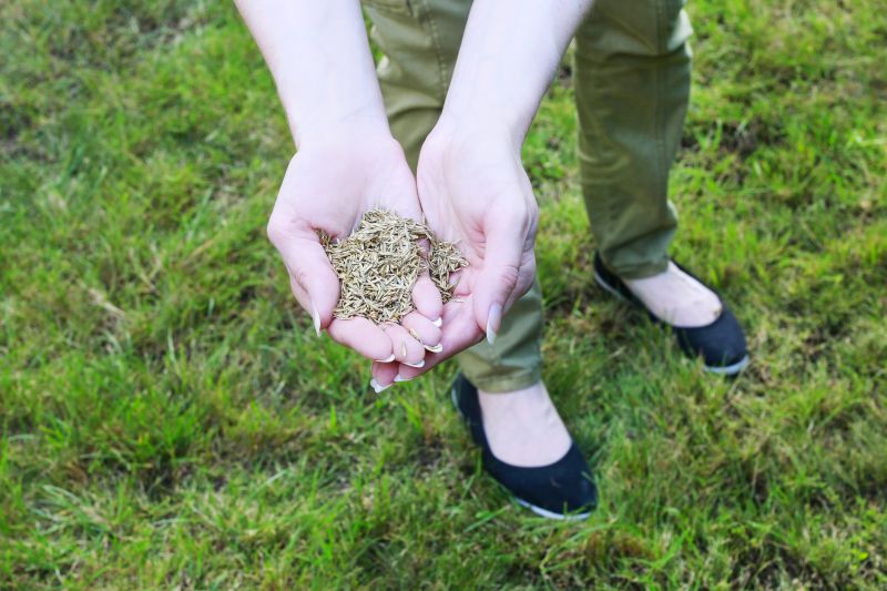 Late Summer Hydroseeding